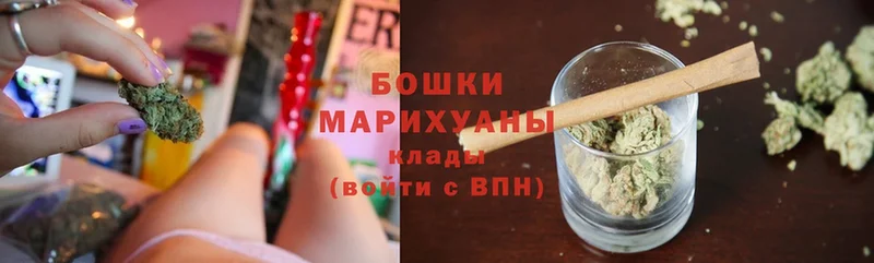 Бошки марихуана план  Мичуринск 